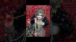 #premanandjipravachan #radhamadhav naam jpki mahima 💙💚🧡❤️💙💚💚💚💙💙💚💚