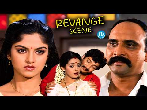 Nadiya Revenge Taking Scenes | Bazaar Rowdy Movie | Telugu Action Scenes | iDream Celebrities