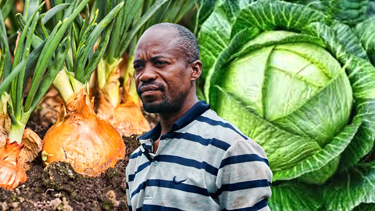 Kurima I tomate vyoroshe // Menya vyishi kubijanye nuburimyi/amashu ibitunguru nibindi bitegwa