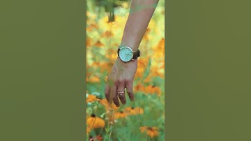 Unlocking Creative Genius The Surprising Power of Mind Wandering