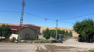 Dengbêj Celoyê babya(hamuda bavê Mîhemed Arşiv Cemal kılıç)￼