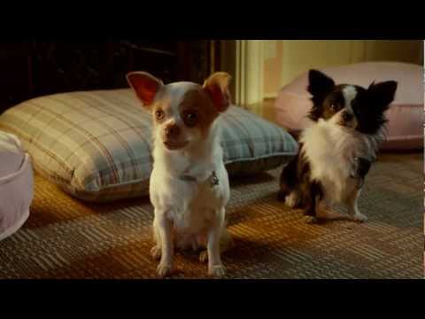 Beverly Hills Chihuahua 3 - Pee Mail