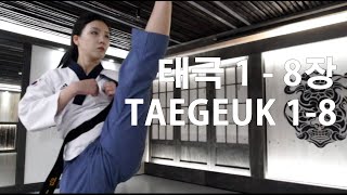 All Taegeuk Poomsae 태극 품새 전체 1-8장