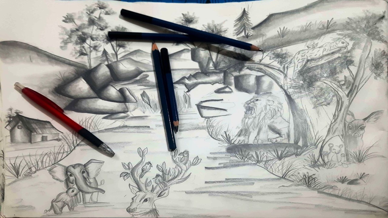 Wildlife pencil drawing . School Project