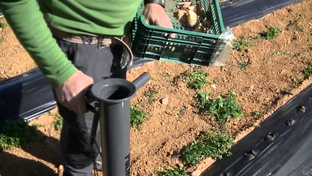 Jardineria Herramientas fáciles de usar punta de acero inoxidable Sembradora Manual de Doble Mango Plantador para la siembra de Semillas Máquina de plántulas 