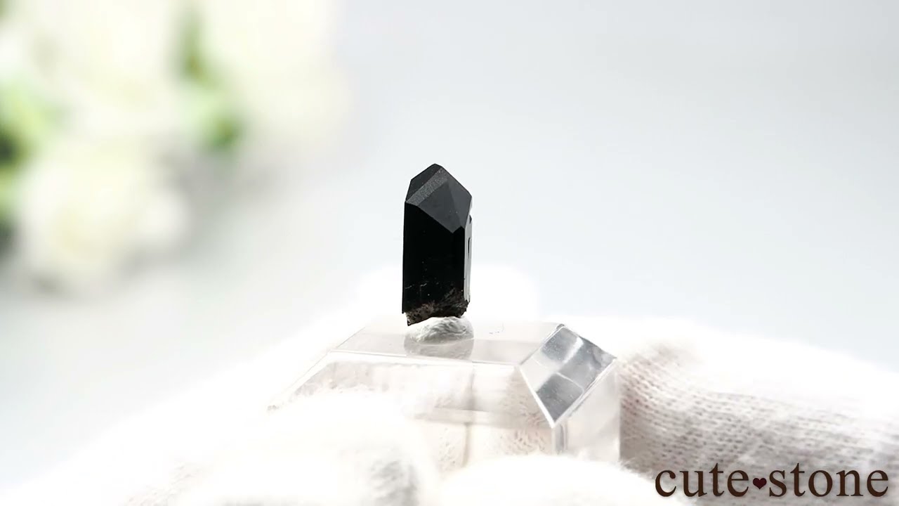 カリフォルニア California State Gem Mine産 ネプチュナイトの原石 No