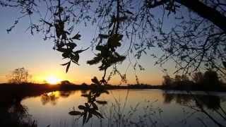 Нижняя Москва-река... - Свидание... )) ))) Нижняя Москва-река... - Свидание... )) )))