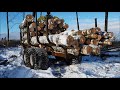 MTZ 952.3 with trailer Palms logging in winter forest.. (HD)