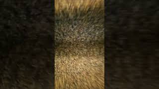 Did I make an infinity loop?