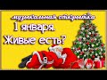 С добрым утром 1 января! Прикольное поздравление для друзей. Музыкальная открытка.