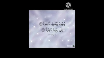 تلاوة عطرة من سورة القيامة بصوت القارئ علي ال نعسان