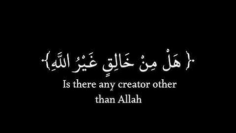 يَا أَيُّهَا النَّاسُ اذْكُرُوا نِعْمَتَ اللَّهِ عَلَيْكُمْ |كرومات قرآن|ماهر المعيقلي|سورة فاطر .