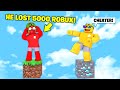 Noob vs Pro: Skyblock Islands in Roblox