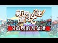 新聞挖挖哇：9萬塊的茶葉蛋20190529(許常德、小NO、空姐瑞秋、莊舒涵、馬在勤)