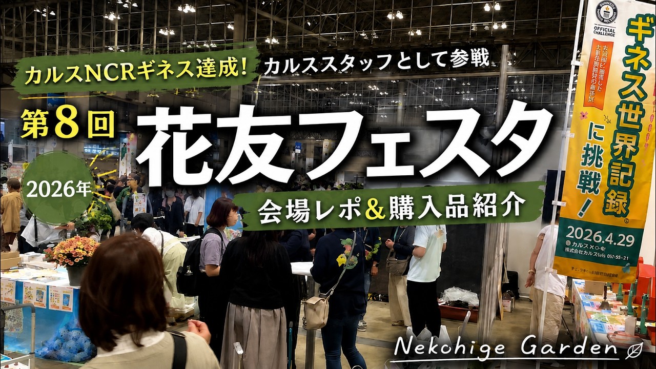 《花友フェスタ2026》会場レポ＆購入品紹介／カルスNCRギネス達成！