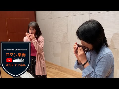 ほのぼの工房のクロマチックハープ ほのぼの工房のミニハープ - メルカリ