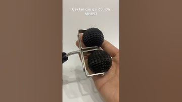 Cây lăn hai quả cầu gai bằng sừng trâu Hahanco - Dụng cụ diện chẩn - MH897 #music #beach #travel