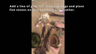 CVH Animal Sanctuary DIY - TOAD ABODE!