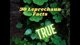 Unbelievable But True 30 Secrets About Leprechauns You Wont Believe