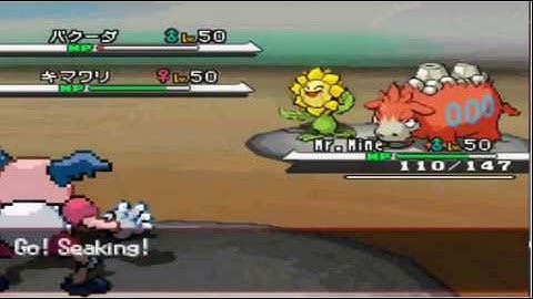 Sunflora Wilters Too Easily