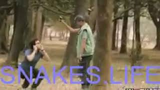 SNAKE LIFE -  Funny Snake Pranks 2017  Funny Pranks 2017 by Animals Funny Life 8 views 4 years ago 3 minutes, 57 seconds