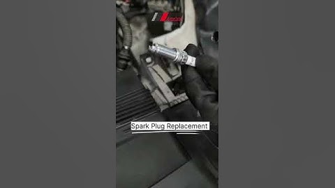 Lamborghini URUS Service