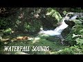 [ASMR] Waterfall Sounds 🌈 No Talking / 滝の音