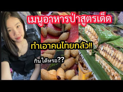 เมนูอาหารป่าสูตรเด็ดที่หายาก ทำเอาคนไทยกลัวกินได้หรอ ?? 🇱🇦🇹🇭