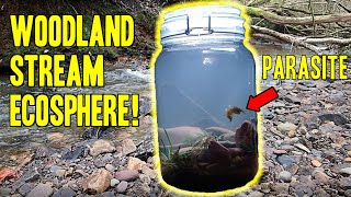 Creating a Woodland Stream Ecosphere (With PARASITE!)