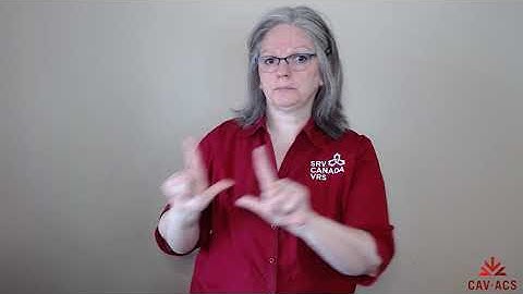 What is Video Remote Interpreting (VRI)?