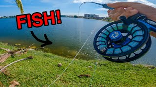 Fly Fishing in Miami With a Toddler! (Looking For Tarpon!) by Eric Estrada 1,508 views 5 months ago 6 minutes, 55 seconds