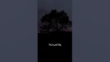 تلاوة خاشعة ومؤثرة من سورة هود . القارئ عامر الكاظمي