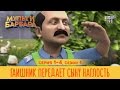 Мульти Барбара - сезон 1, серии 1 - 4 | ГАИшник передает сыну наглость | Только правда в семье