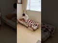 🛋️✨ 折りたたみ、サイドテーブル付きソファベッド｜一人暮らしにぴったり💖 #trending #tiaro #sofabed #convertiblesofa