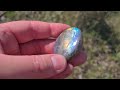 LABRADORITE POLIE 17.5 GR EN VENTE CHEZ GEMMES ET ZEN