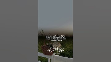 عبدالله الموسى سورة الشعراء #عبدالله_الموسى #سورة_الشعراء #القرآن_الكريم #اكسبلور #لايك #تيك_توك