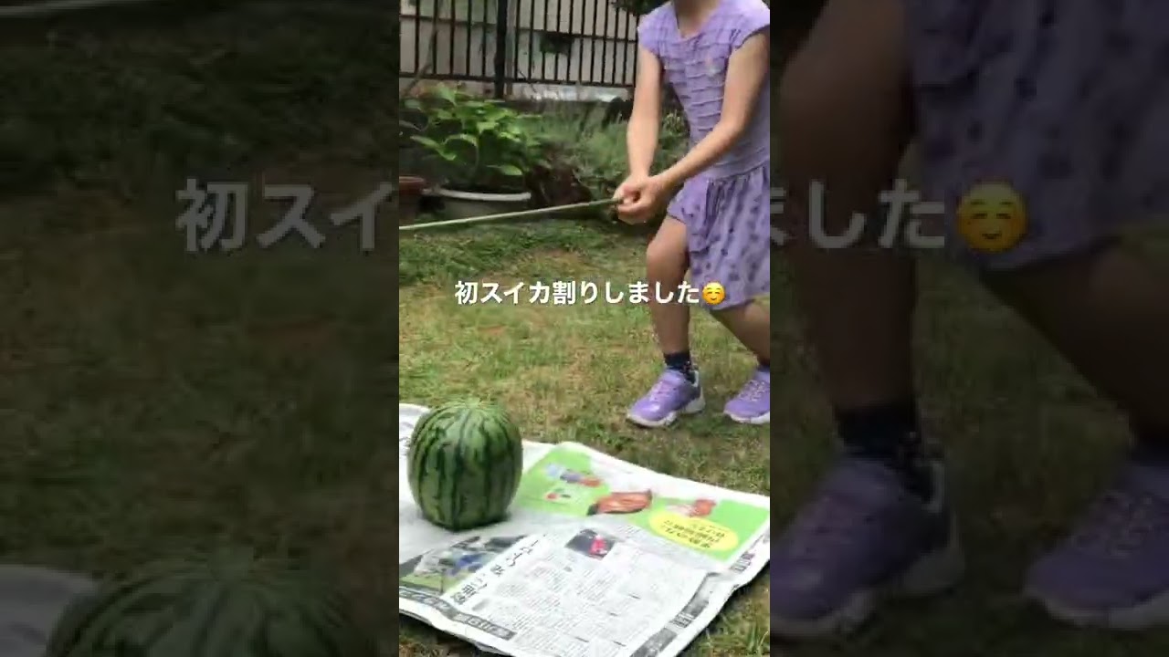 あなたの小さい頃の夏の思い出は何ですか 娘さんは初スイカ割りで見事命中です スイカ割り 一時帰国 夏の風物詩 夏の思い出 一時帰国 バイリンガル育児 初めて Youtube