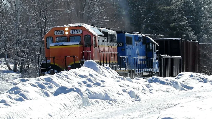 AN ENTIRE FOREST IS ON THIS TRAIN! | Jason Asselin