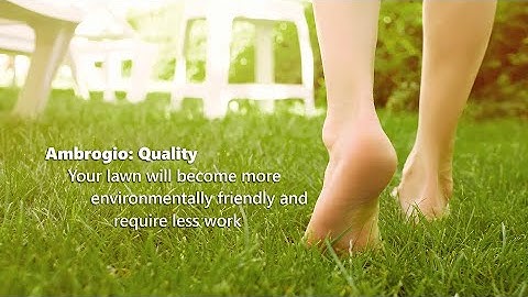 Ambrogio: Quality