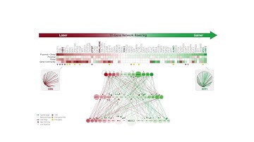 ENCODEC Rewiring of Gene Regulatory Network