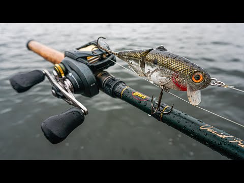BEST CrankBait Rod for Bass Fishing - Lews David Fritts Perfect CrankBait  Rod 