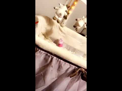 سنابات نوف نبيل 228