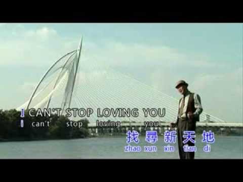 我不能不爱你  - 杨庆 精选30第三集
