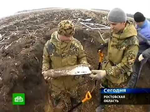 На обшивке упавшего 70 лет назад на Таймыре самолёта нашли записки экипажа