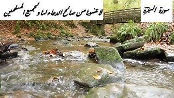 سورة البقرة كاملة بأجمل صوت تخشع له القلوب