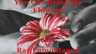 Video thumbnail of "You can bring me flowers ~ Ray Lamontagne"
