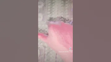 اخد كشاف وعورته الفائزين 