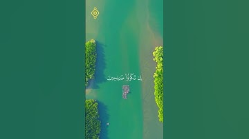 الآية 25 من سورة الإسراء للقارئ فارس عباد