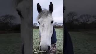 Ad ref 303240 Video 1