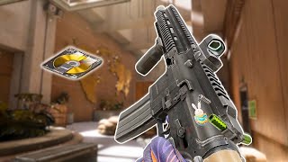 : We Are Getting A Secret Document Today | Arena Breakout
